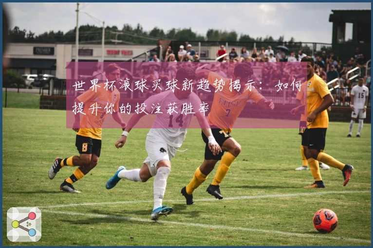 世界杯滚球买球新趋势揭示：如何提升你的投注获胜率