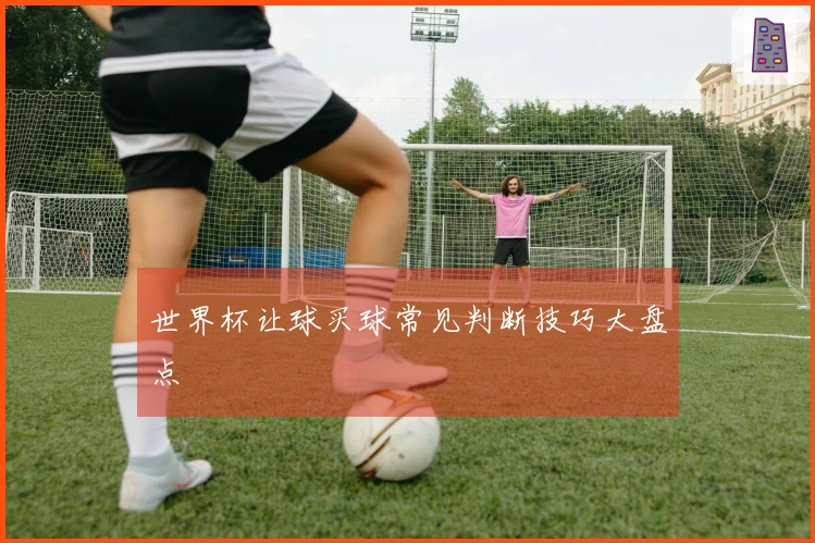 世界杯让球买球常见判断技巧大盘点