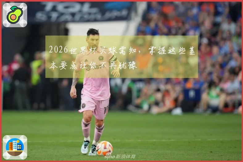 2026世界杯买球需知，掌握这些基本要点让你不再犹豫