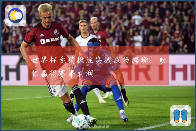 世界杯竞猜投注实战技巧揭晓，助你赢得赛事利润