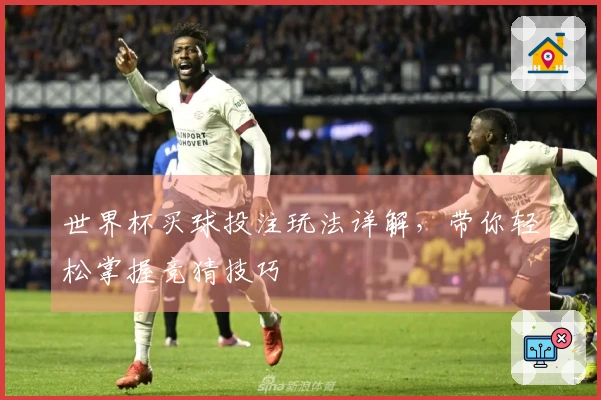 世界杯买球投注玩法详解,带你轻松掌握竞猜技巧