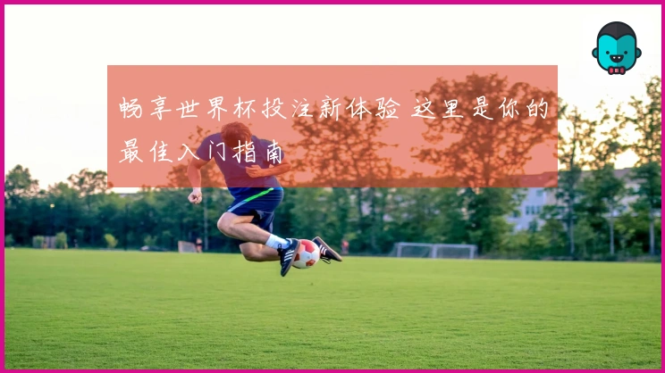 畅享世界杯投注新体验 这里是你的最佳入门指南