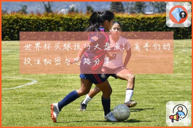 世界杯买球技巧大盘点:高手们的投注秘密与思路分享