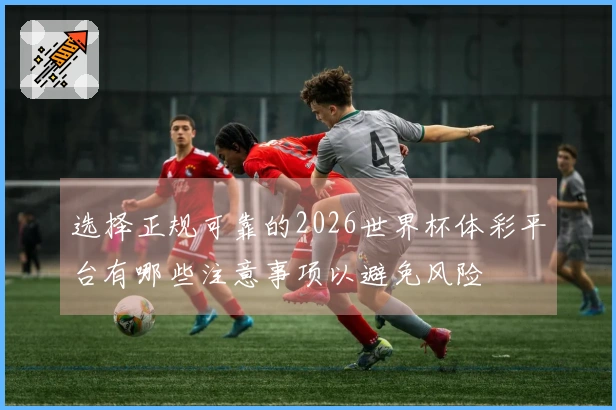 选择正规可靠的2026世界杯体彩平台有哪些注意事项以避免风险