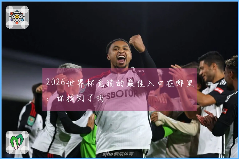2026世界杯竞猜的最佳入口在哪里，你找到了吗