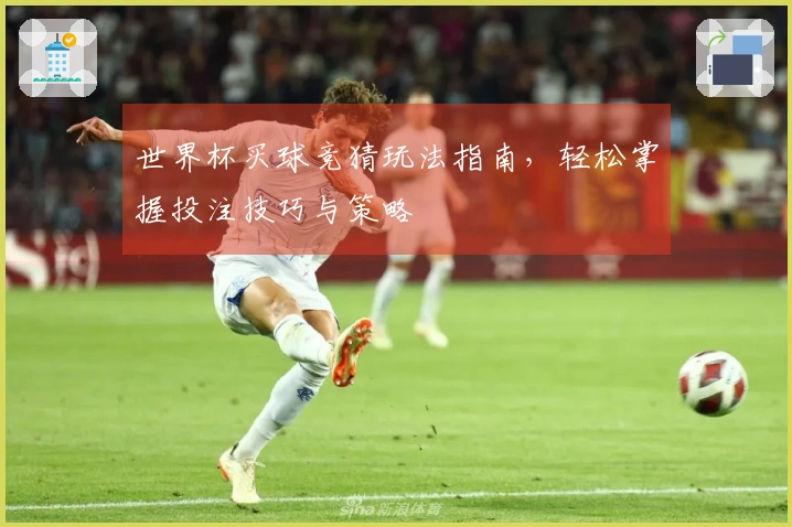 世界杯买球竞猜玩法指南，轻松掌握投注技巧与策略