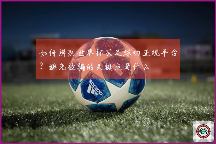 如何辨别世界杯买足球的正规平台？避免被骗的关键点是什么