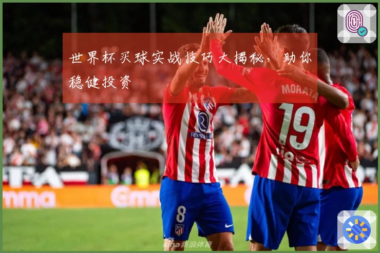 世界杯买球实战技巧大揭秘，助你稳健投资