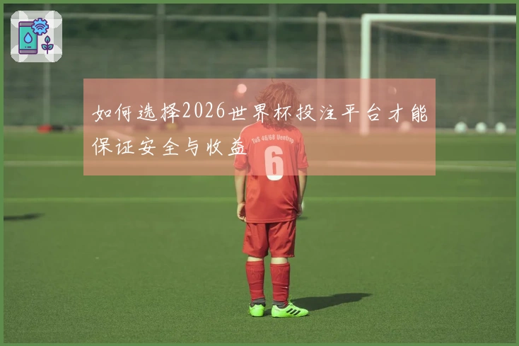 如何选择2026世界杯投注平台才能保证安全与收益