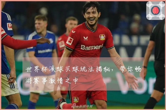 世界杯滚球买球玩法揭秘，带你畅游赛事激情之中